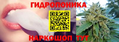 трава Ноябрьск